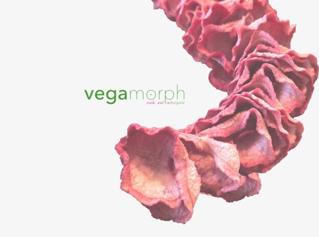 Vegamorph Webdesign