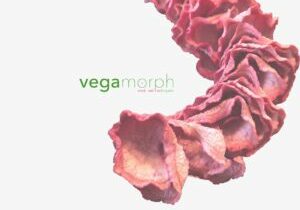 Vegamorph Webdesign